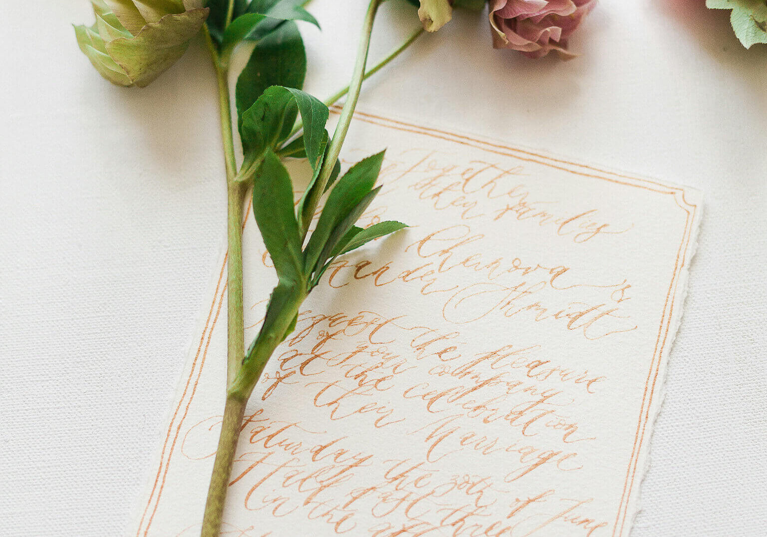 diana-light-oLO-3vhzeyc-unsplash